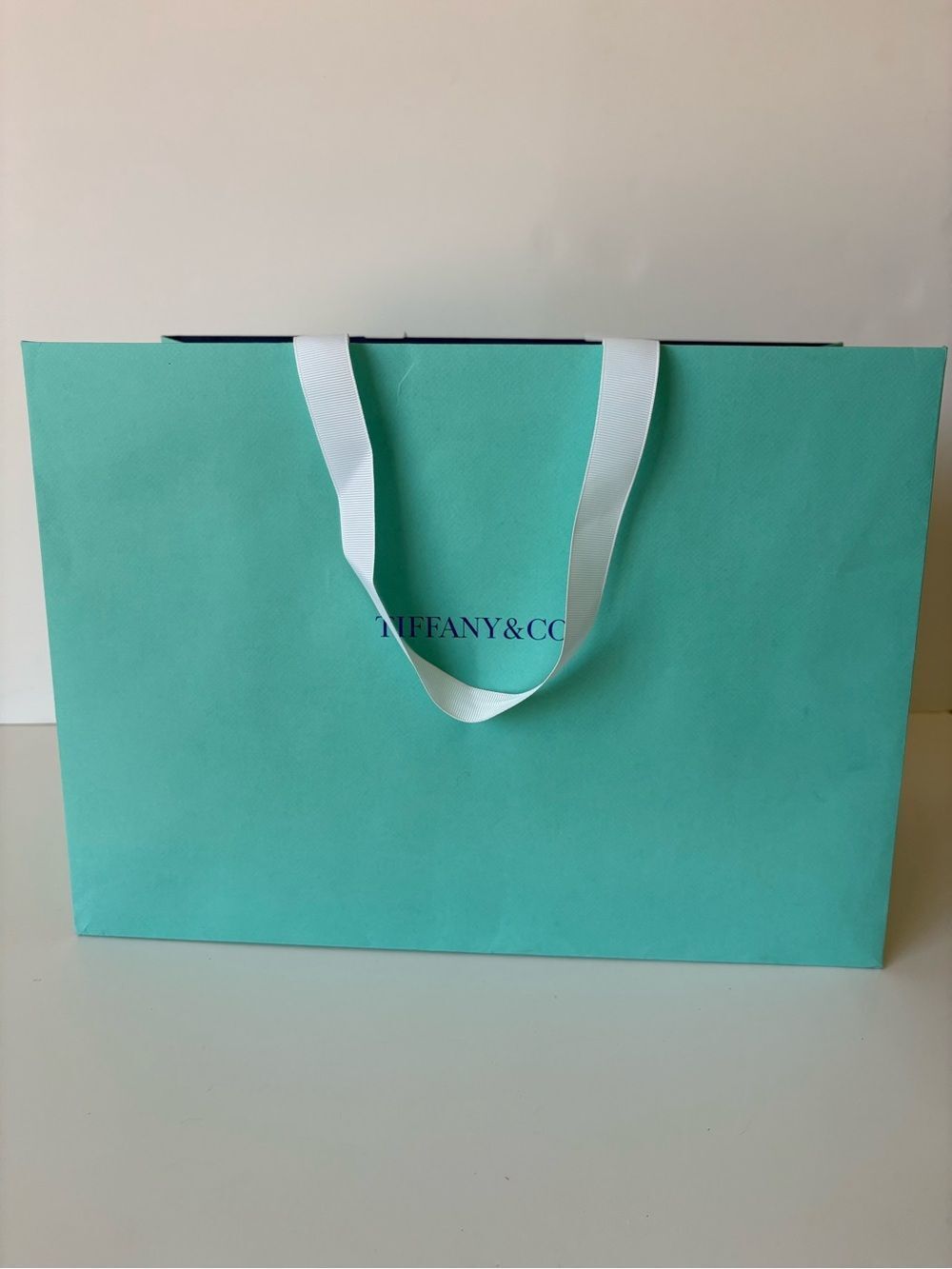 Tiffany & Co. Solid Blue Paper Gift Tote Bag w/ White Handles
